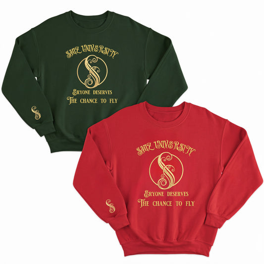 Shiz University Embroidered Sweatshirt, Defy Gravity Hoodie, Witches of Oz Sweatshirt, Witch Pink & Green, Alumni Sweatshirt, Magic Wand Broomstick