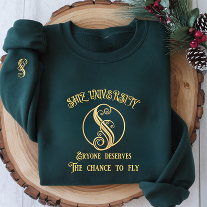 Shiz University Embroidered Sweatshirt, Defy Gravity Hoodie, Witches of Oz Sweatshirt, Witch Pink & Green, Alumni Sweatshirt, Magic Wand Broomstick